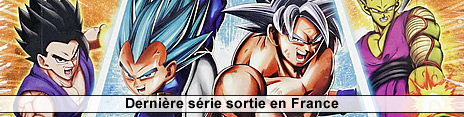 Liste des cartes Dragon Ball Dragon Ball Z Panini